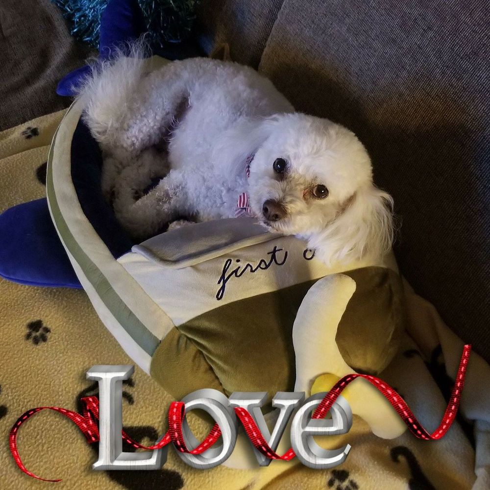 Meet your Posher, Marysue